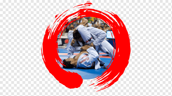 Картина греплинг джиуджитсо