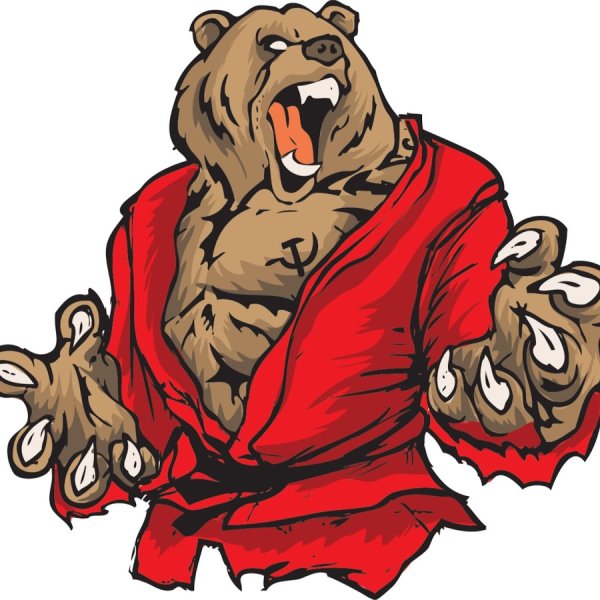 Медведь в самбовке