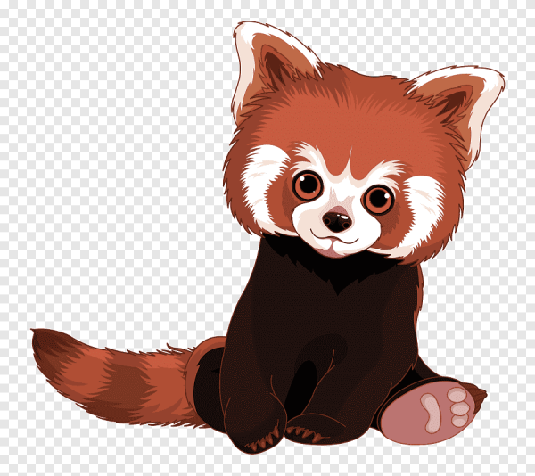 Красная Панда картинки