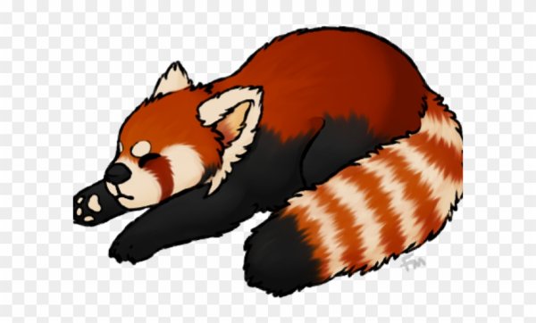 Красная Панда на прозрачном фоне