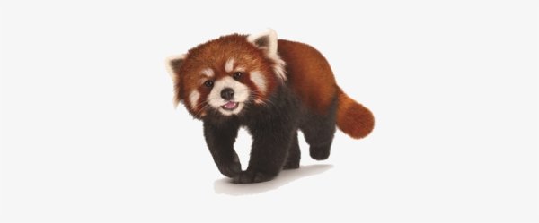 Наклейки красная Панда