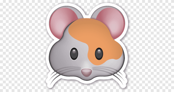 Мордочка мыши