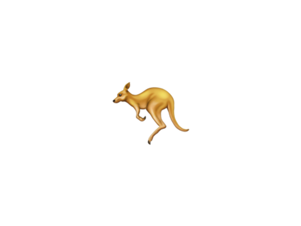 Jumping Kangaroo рисунок для детей