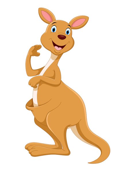 Кенгуру рисунок