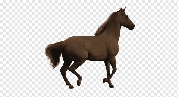 Смайлик конь