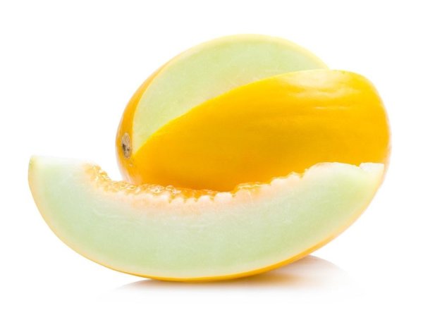 Дыня на белом фоне