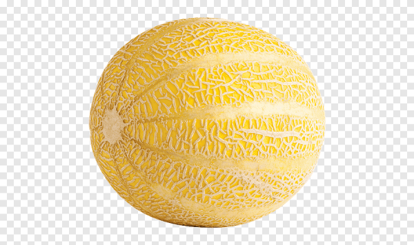 Дыня Галия канталупа