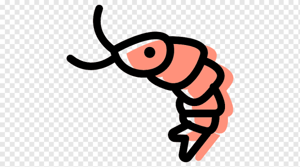 Креветка нарисованная