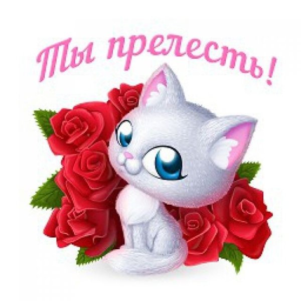 Спасибо ты прелесть