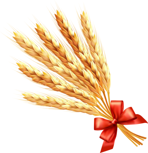 Хлебный колосок