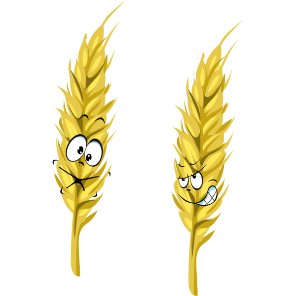 Колосья мультяшные