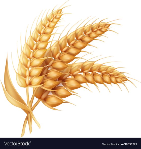 Колоски маска