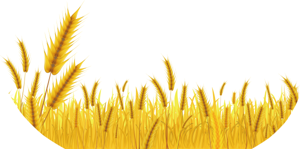 Пшеничное поле вектор
