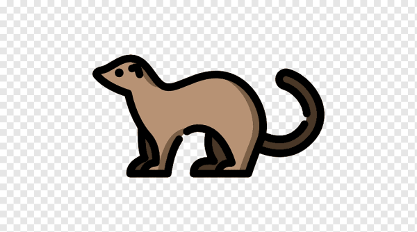 Смайлик хорек