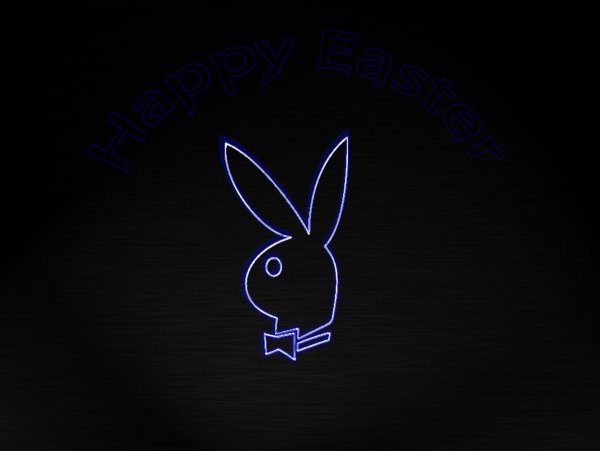 Заяц на черном фоне