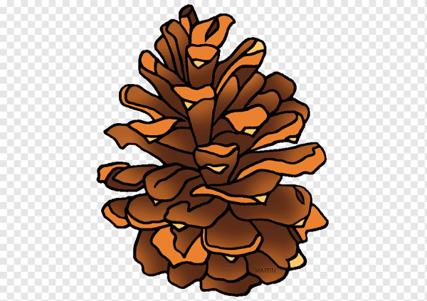 Шишка мультяшный