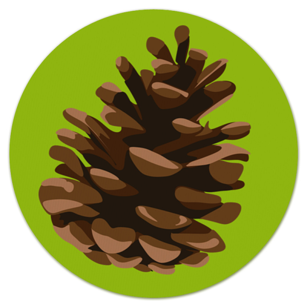 Шишка мультяшная