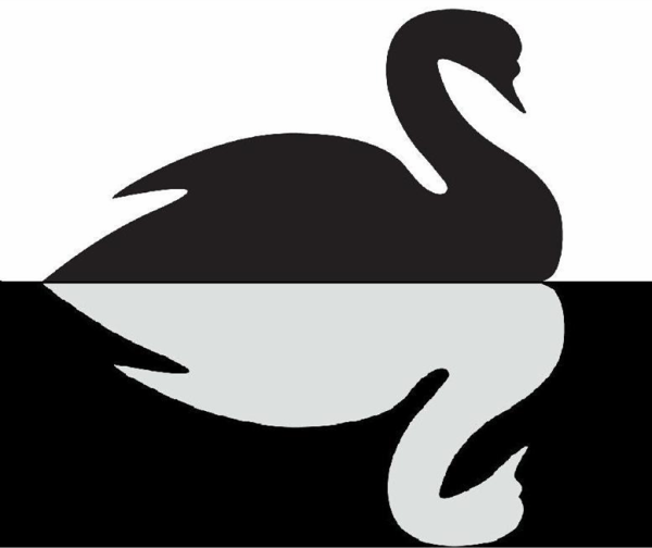 Черный лебедь силуэт