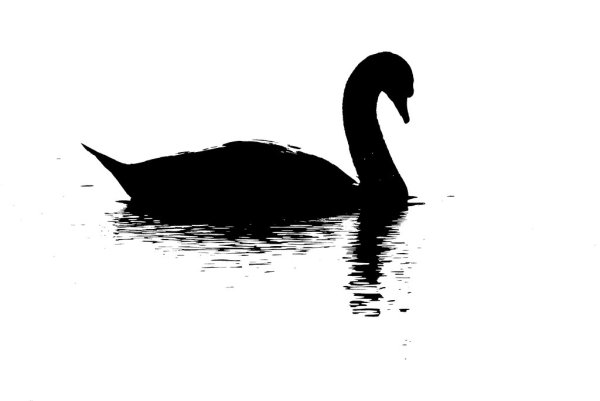 Силуэт лебедя