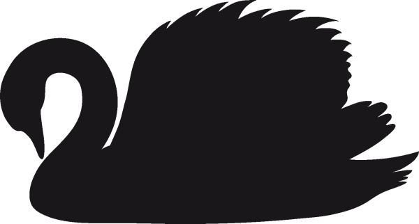 Черный лебедь символ