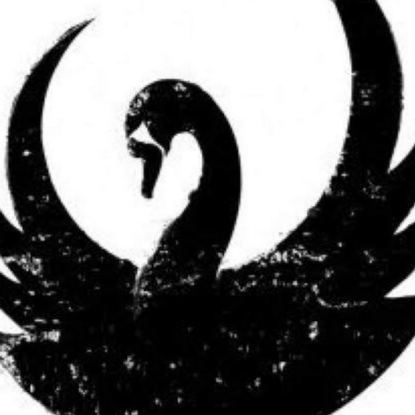 Лебедь без фона