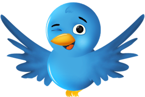 Птица на белом фоне