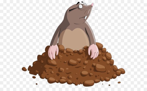 Крот на прозрачном фоне