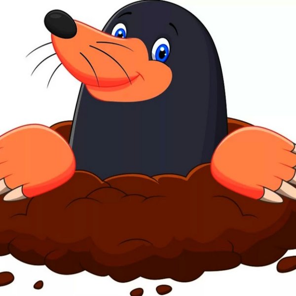 Маска крота для детей