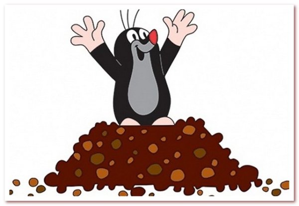 Кротик мультфильм из Норы