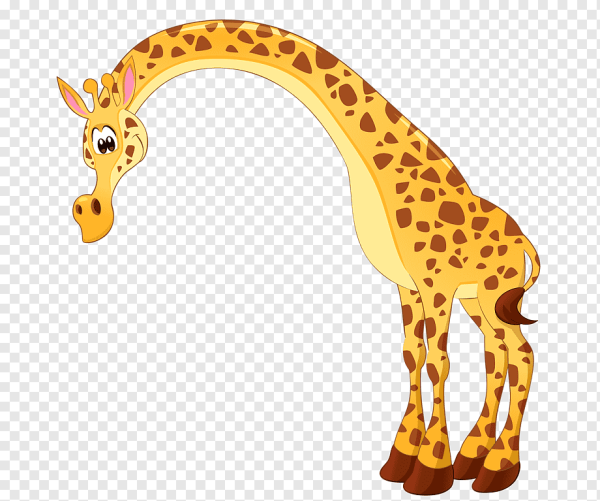 Жираф картинка