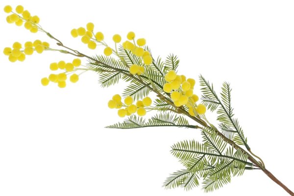 Мимоза 301-2 (k)