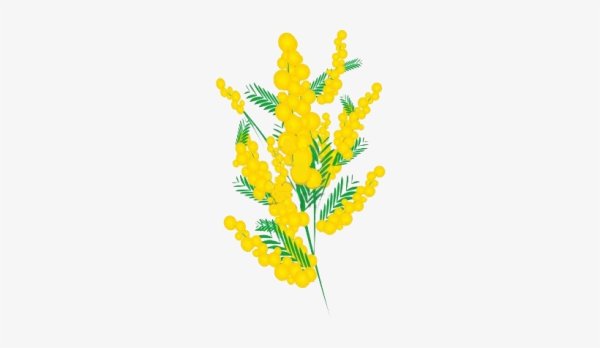 Мимоза логотип