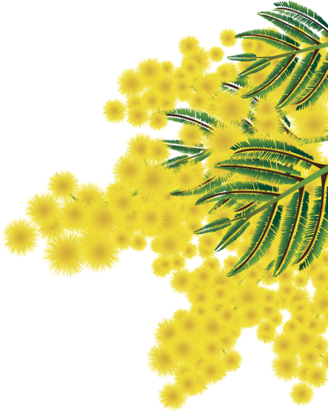 Веточка мимозы