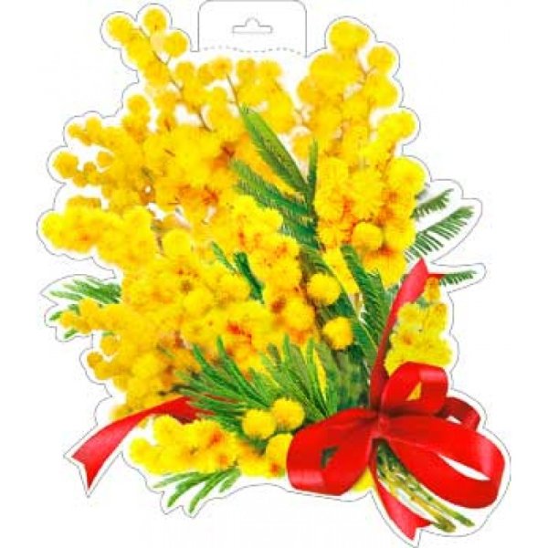 Постер Мимоза