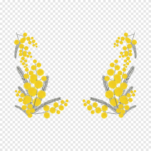 Мимоза вектор