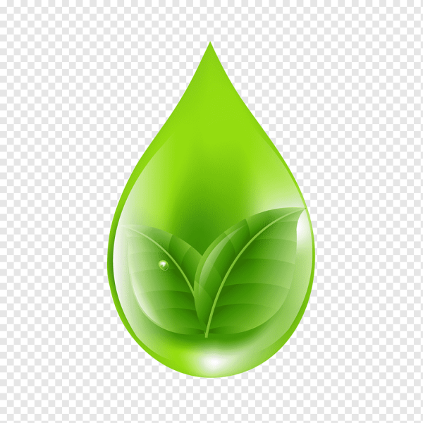 Зеленая капля на прозрачном фоне