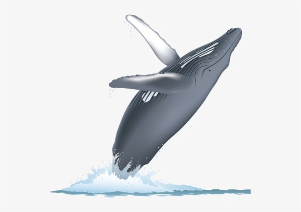 Синий кит мультяшный