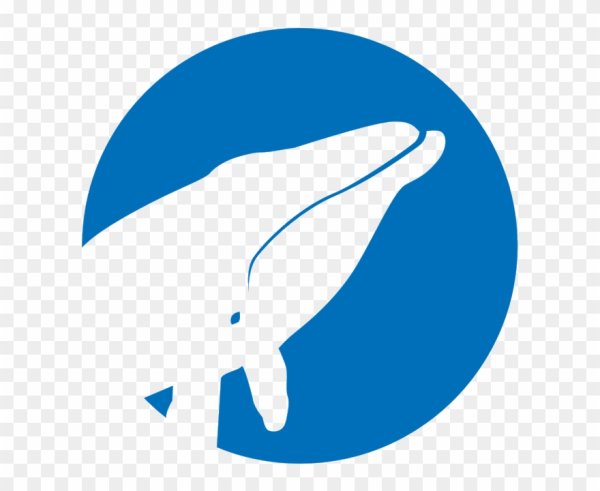 Кит картинка для детей