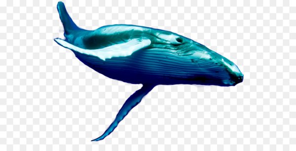 Дельфинчик ЭМОДЖИ