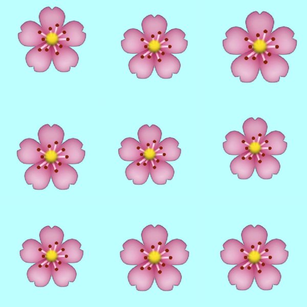 Смайлик цветок