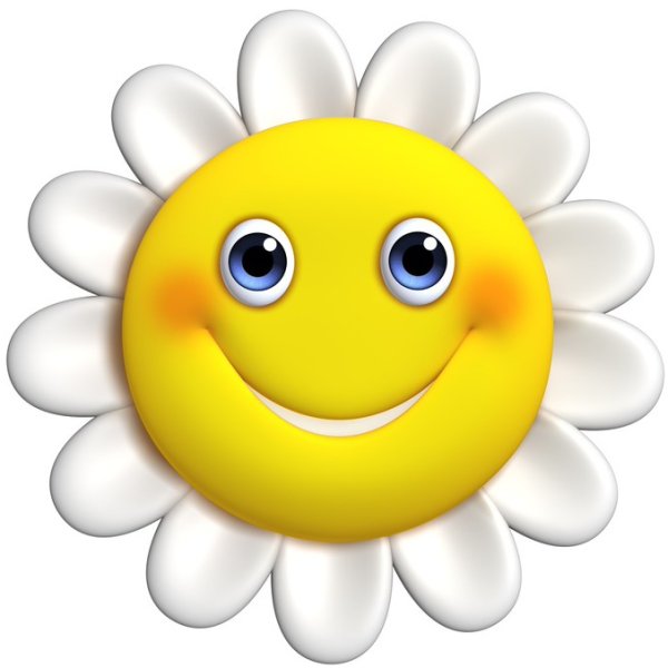 Ромашка улыбается