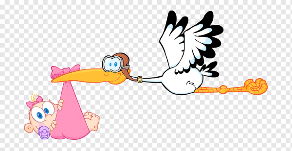 Малыш девочка Аист на прозрачном фоне