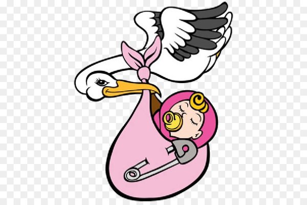 Аист с малышом вектор