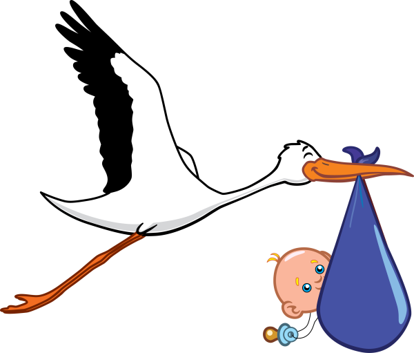 Аист с ребенком