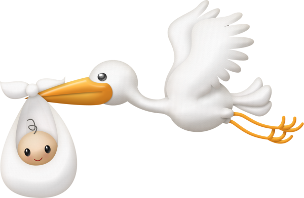 Аист с малышом на прозрачном фоне