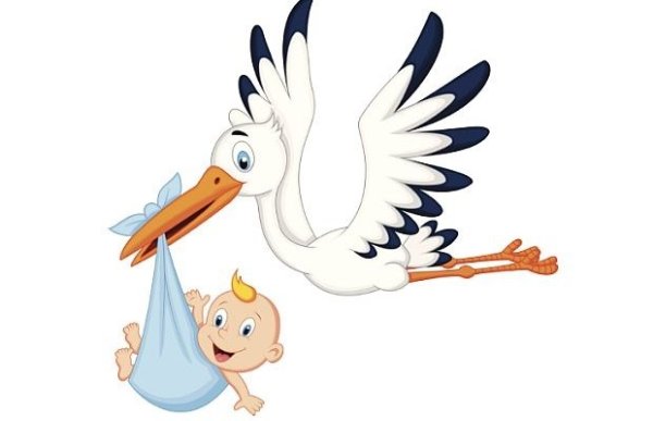 Аист с малышом