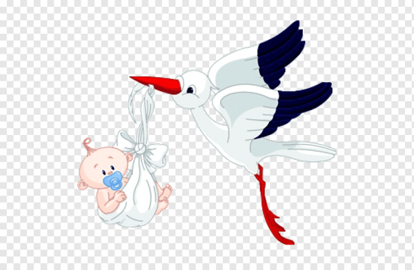 Аист несет ребенка без фона