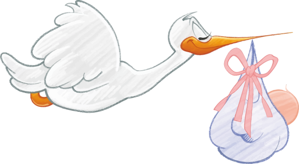 Аист с ребенком