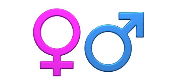 Пол мужской и женский