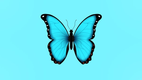 Смайл бабочка